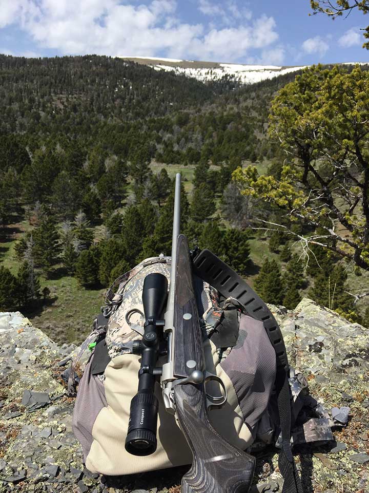 Bow vs. Rifle Guidefitter