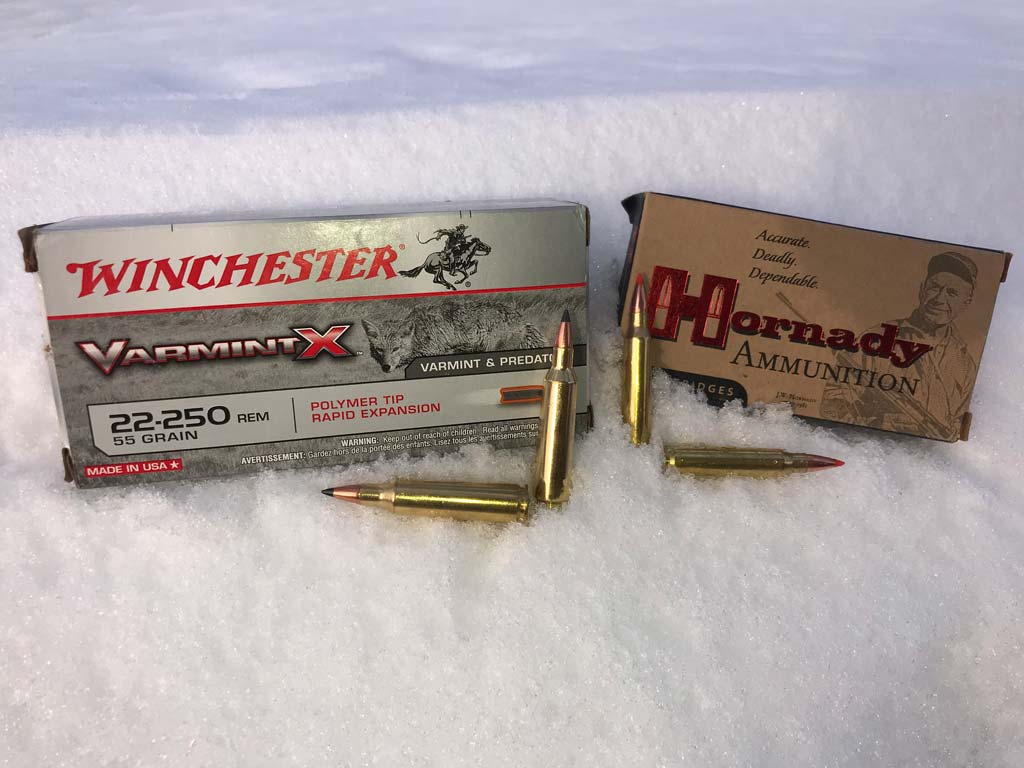 9 Coyote Hunting Tips From a Northern Guide Guidefitter