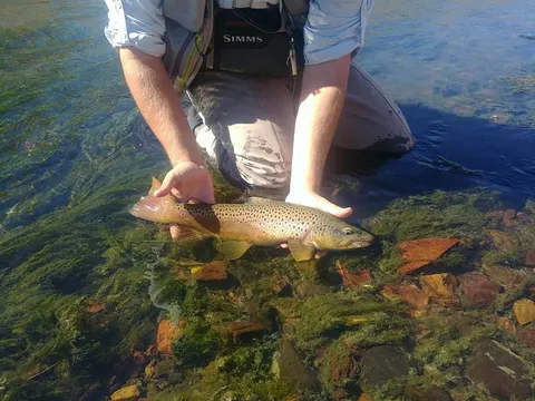 Restore an Old Bamboo Fly Rod #3: Video Series - Fly Fishing, Gink and  Gasoline, How to Fly Fish, Trout Fishing, Fly Tying