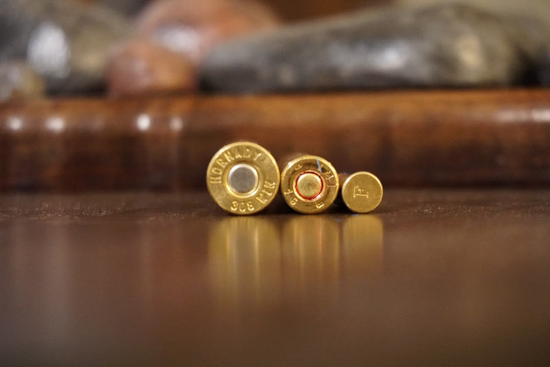 Cartridge or Shot Placement Which Matters Most? Guidefitter