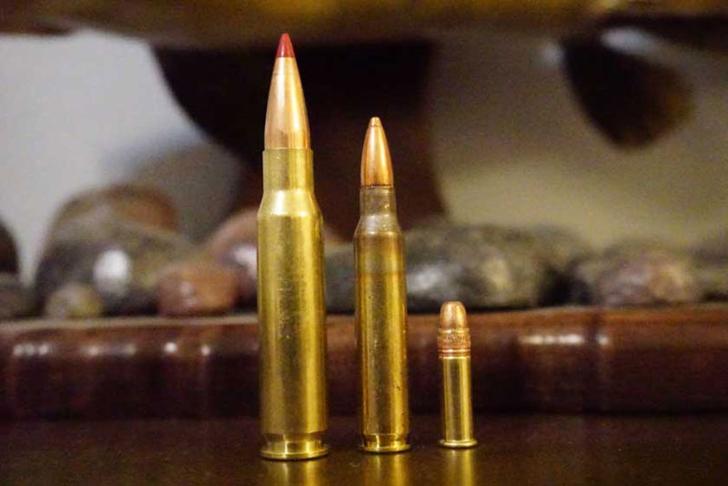 Cartridge or Shot Placement Which Matters Most? Guidefitter