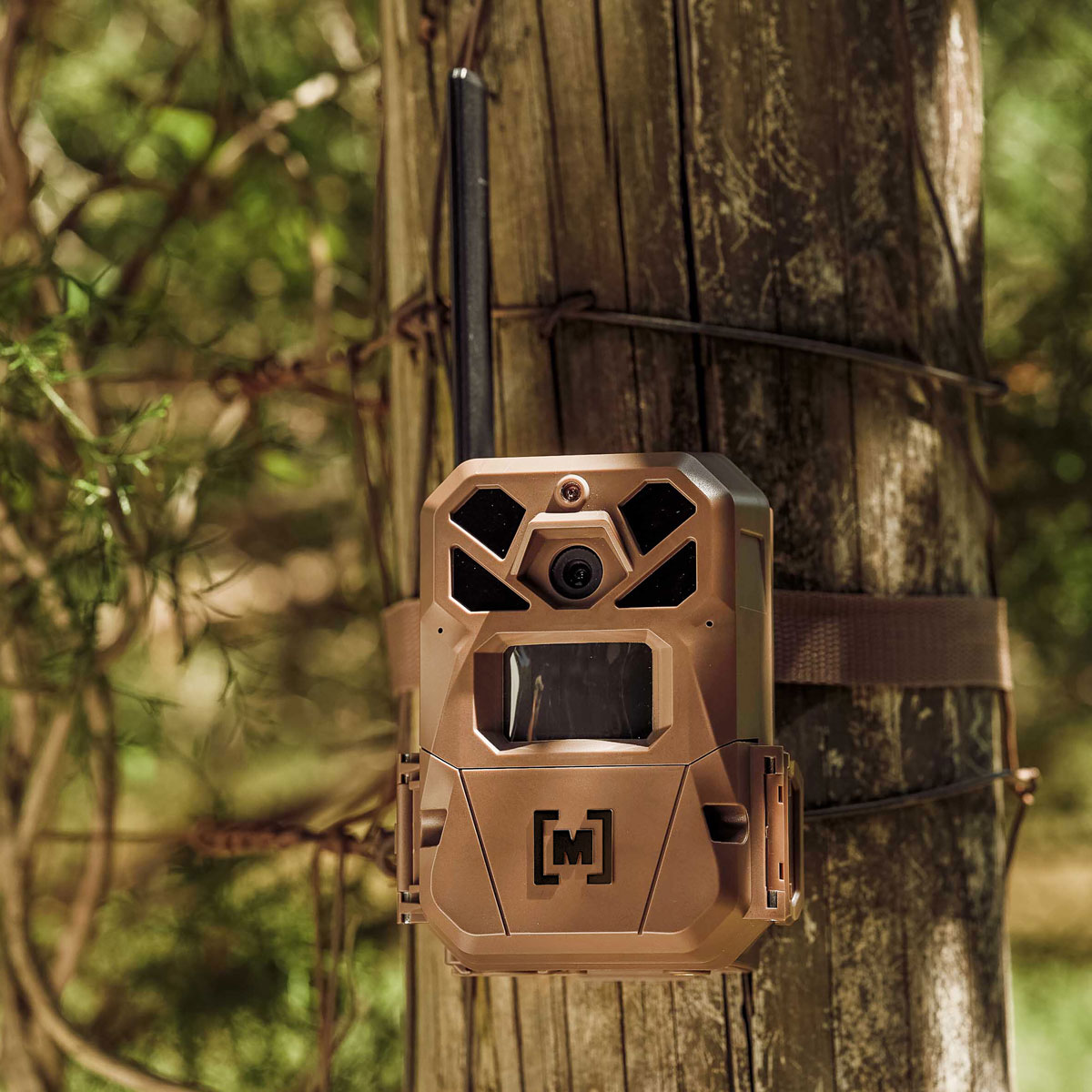 The Moultrie Edge cellular trail camera strapped to a weathered wooden fence post with barbed wire, ready for wildlife photography.