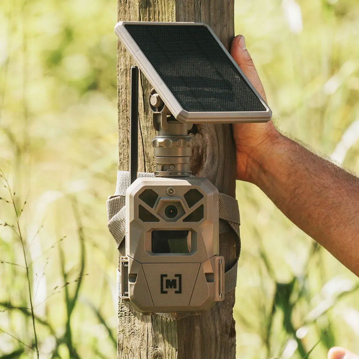 A hand adjusts a mounted solar panel above a Moultrie Edge cellular trail camera strapped to a wooden post in an outdoor setting.