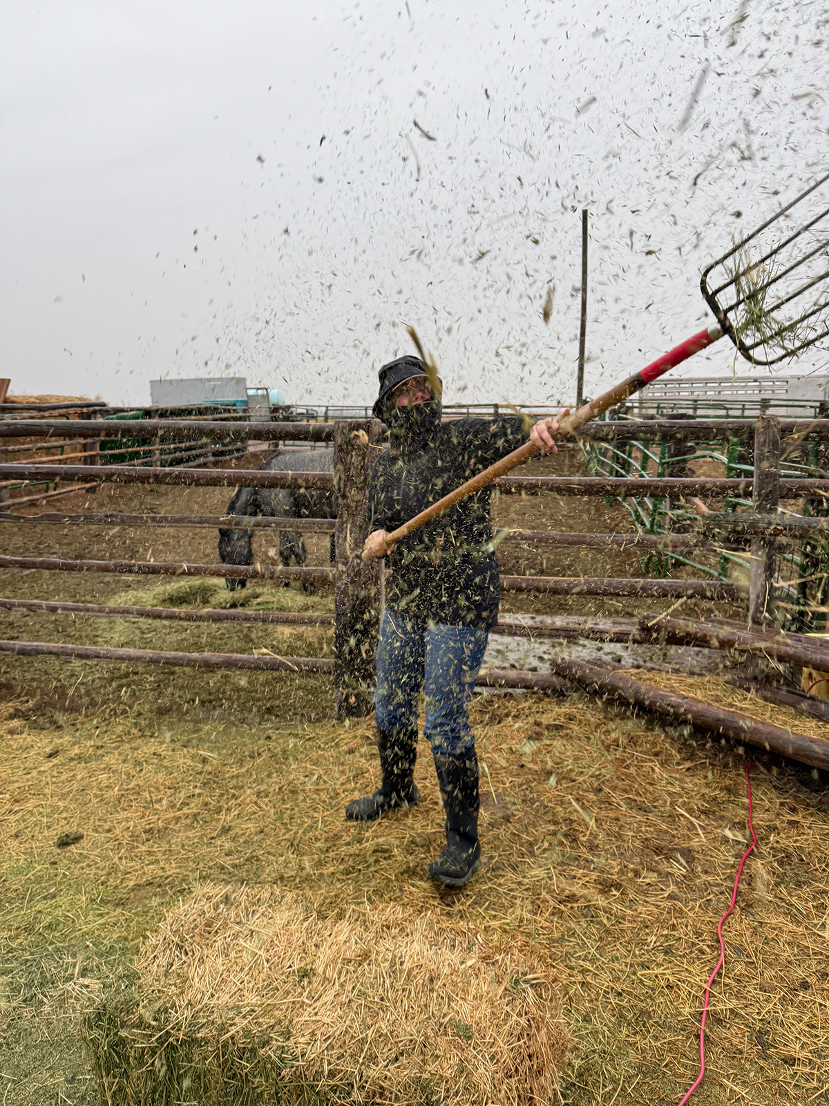 Cheyenne Wallace testing the Rab Women's Firewall Mountain Jacket in wet, windy Montana conditions.